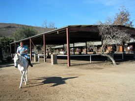 Small Covered Arena