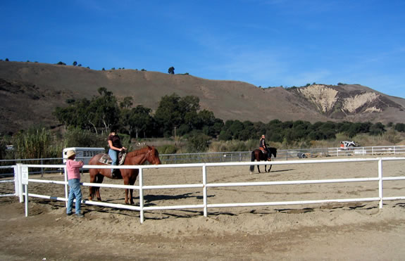 Stoneybrook Arena