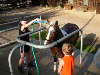 Wash Racks