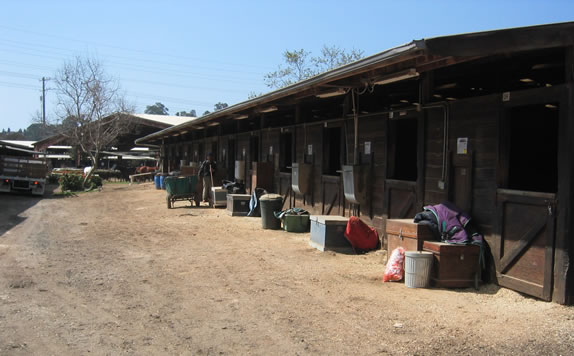 San Juan Barn