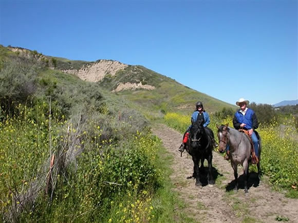 Trail Riding